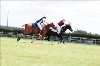 UKPA NC SAT_2572